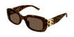 002 havana havana brown