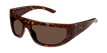 002 havana havana brown