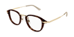 002 havana gold transpare