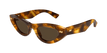 002 havana havana brown