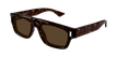 002 havana havana brown
