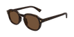 002 havana havana brown