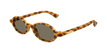 006 havana havana brown