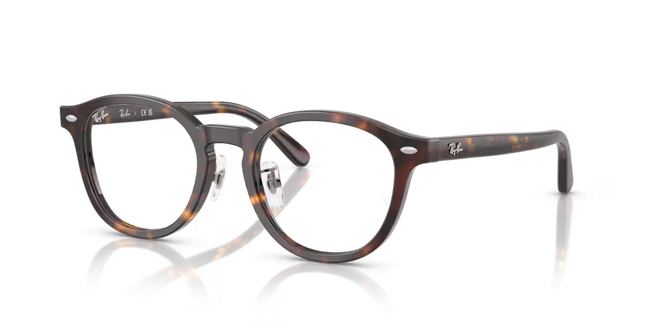 5443D VISTA